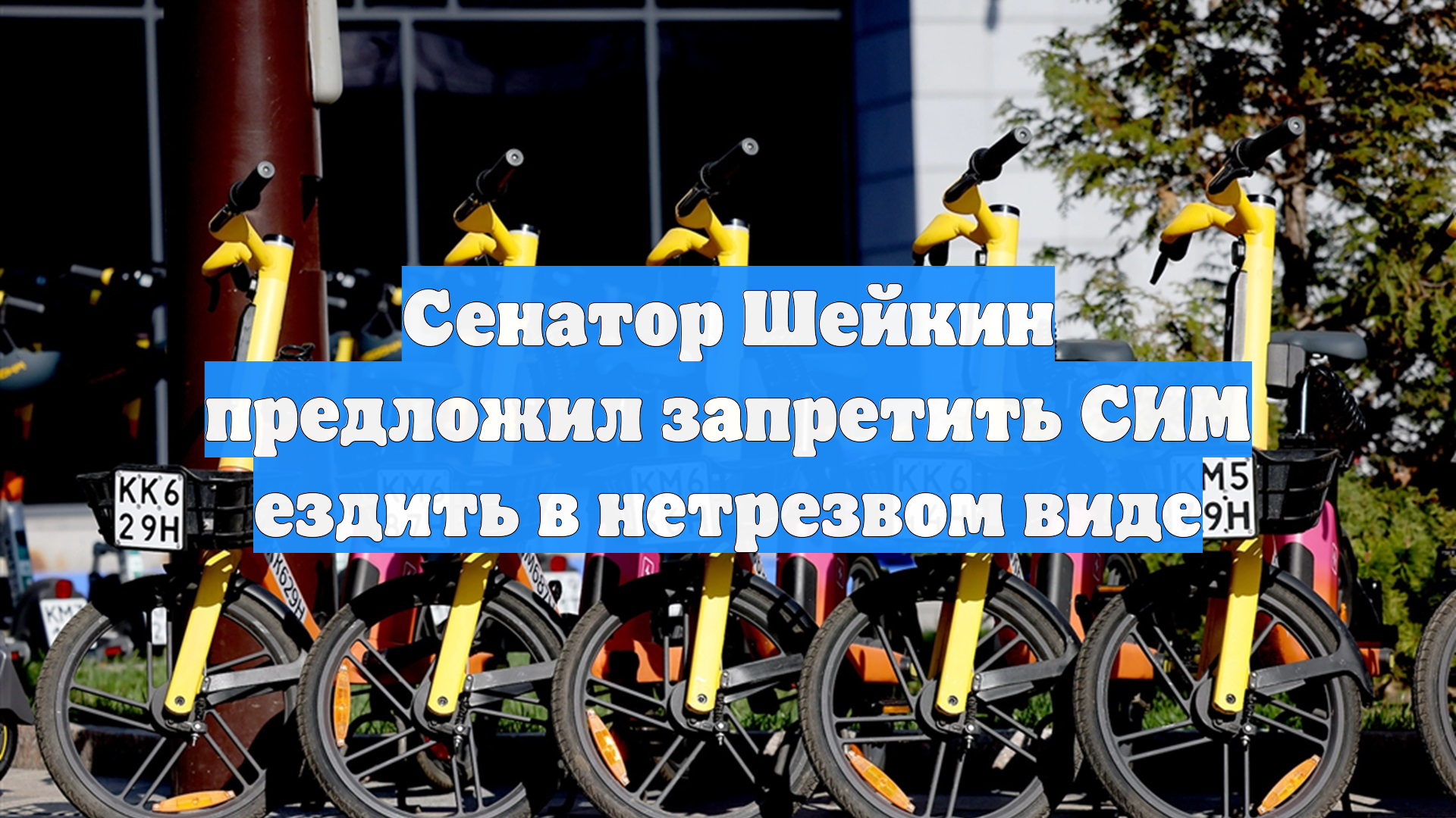 Сенатор Шейкин предложил запретить СИМ ездить в нетрезвом виде