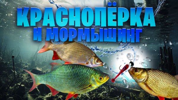 красноперки гиганты на мормышинг! + тест шнура Duel the ONE #0,13pe