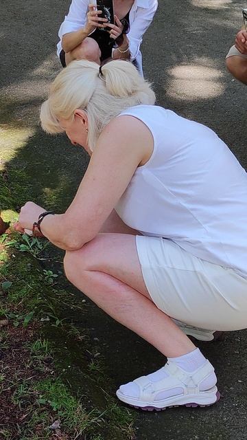 Сочи, нижний дендрарий. Встреча с белкой.