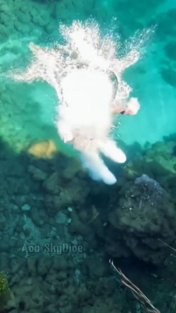 Прыгнула смотреть онлайн