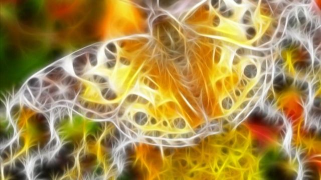 Мир в цвете смотреть онлайн