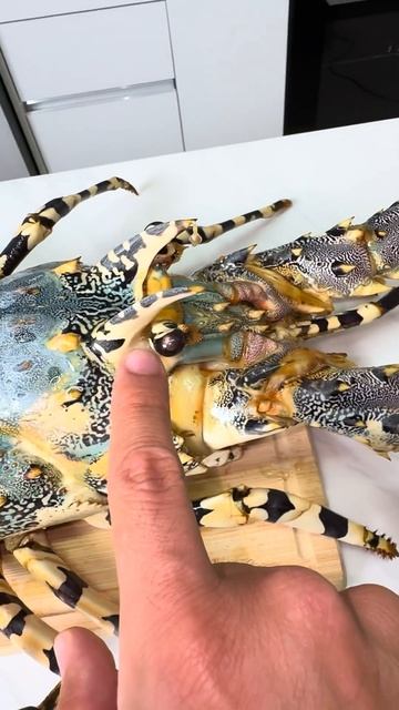 Самый большой лобстер в мире! смотреть онлайн