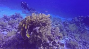 Шарм январь 24