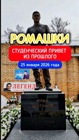 Песня, что греет в мороз: вспоминая Юру Шатунова в Татьянин день #shorts #2026 #шатунов #ромашки