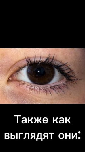 //[17:36]\\//Идея моя!\\!!Это не про всех,  это про тех, кто так говорит!! \\//Не, ну правда\\