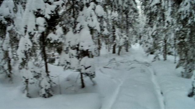 в поисках зверя смотреть онлайн