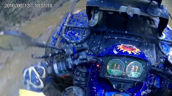 По лесной дороге на квадроцикле CF MOTO 500.