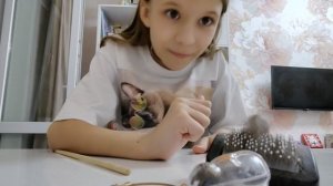 мучаем кота часть  2 😅