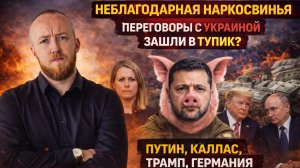 Неблагодарная "наркосвинья", переговоры с Украиной зашли в тупик?