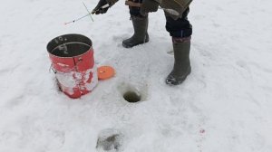 VID_20260125_120726_667