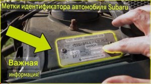 Subaru Идентификационная табличка транспортного средства. Расшифровка.