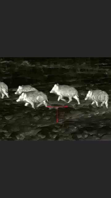 26-01-2026 смотреть онлайн