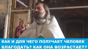 Почему и для чего получает человек благодать? Как она возрастает в человеке? Свящ. Валерий Сосковец