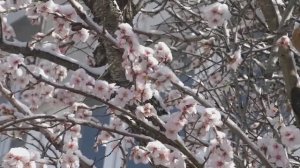 Зима старушка