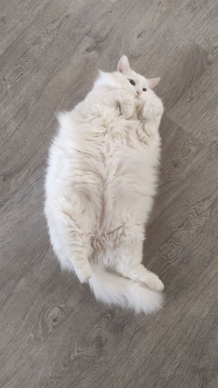 УТРО БЛОГЕРА