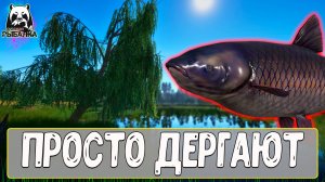 Просто подходят и дергают резко #рр4