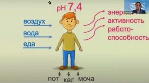 Концепция здоровья. Дети 24.01.2026 1часть