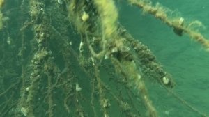 Щелково 16.06.2024