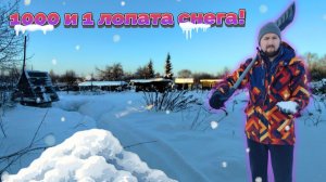 Показываю двор ❄️ Расчищаю снег к бане