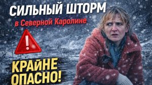 Снежныйшторм  в США 🌧️ Северная Каролина, утренняя прогулка вокруг дома