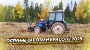 Новый выпас коровам. Сходили в лес за грибами. Навозные вилы на расчистке поля. Амкодор уехал