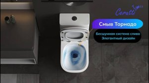 Обзор напольного унитаза  MANLIO Tornado CT10618 Ceruttispa!