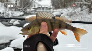 Посетил зимнее место Силы