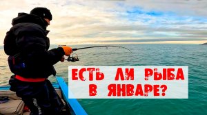 На рыбалку в январе. В поисках рыбы. Кабардинка. Рыбалка в море.