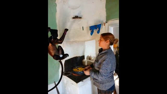 Кушать хочет смотреть онлайн