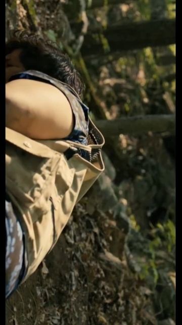 Companio компаньон 2025