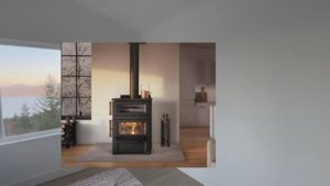 Лесная Жизнь в Америке