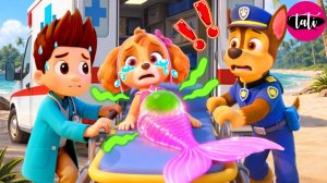 Щенячий патруль и Маршалл. Залипательное видео. Мультфильм для детей и малышей. Анимация 134