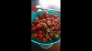 Клубничка