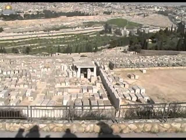 Видеоэкскурсия в Израиль 12