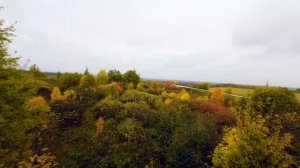 Дождливая осенняя погода, слякоть