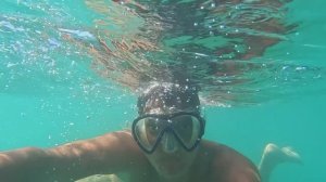 Море. Рыбы. Водоросли. Съемка под водой. Тест экшн камеры под водой.