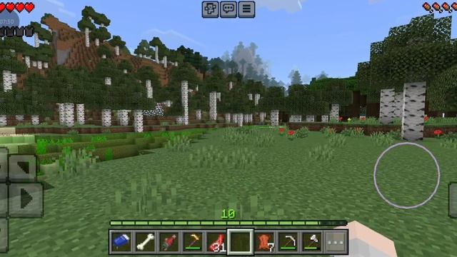 играю на тл в майнкрафт