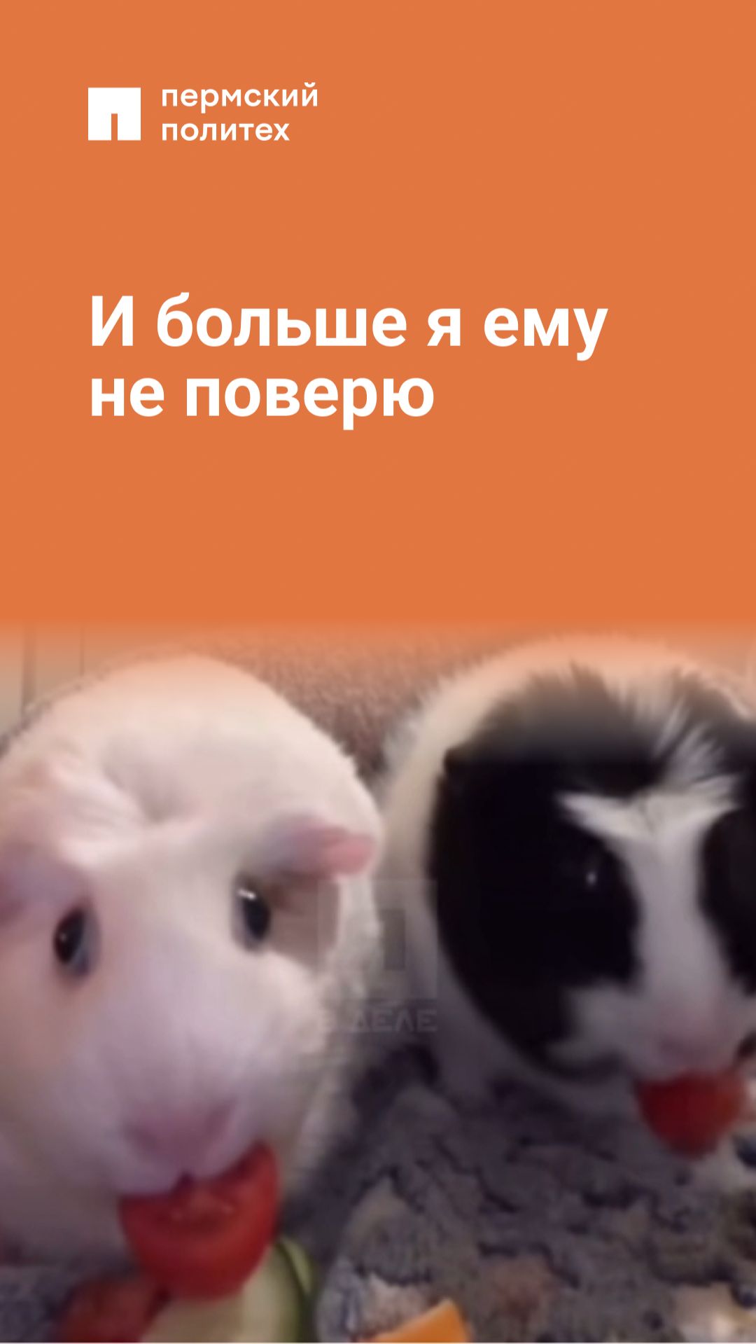 Мое доверие потеряно навсегда смотреть онлайн