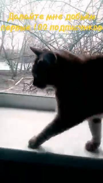 12 апреля 2024 г [get.gt]