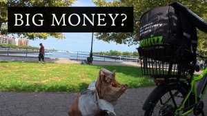 ARTEM KUPRIIANOV | Воскресная доставка в Бруклине, New York