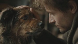 ВЕРНЫЙ группа БОГАТЫРИ И БЕРЁЗЫ