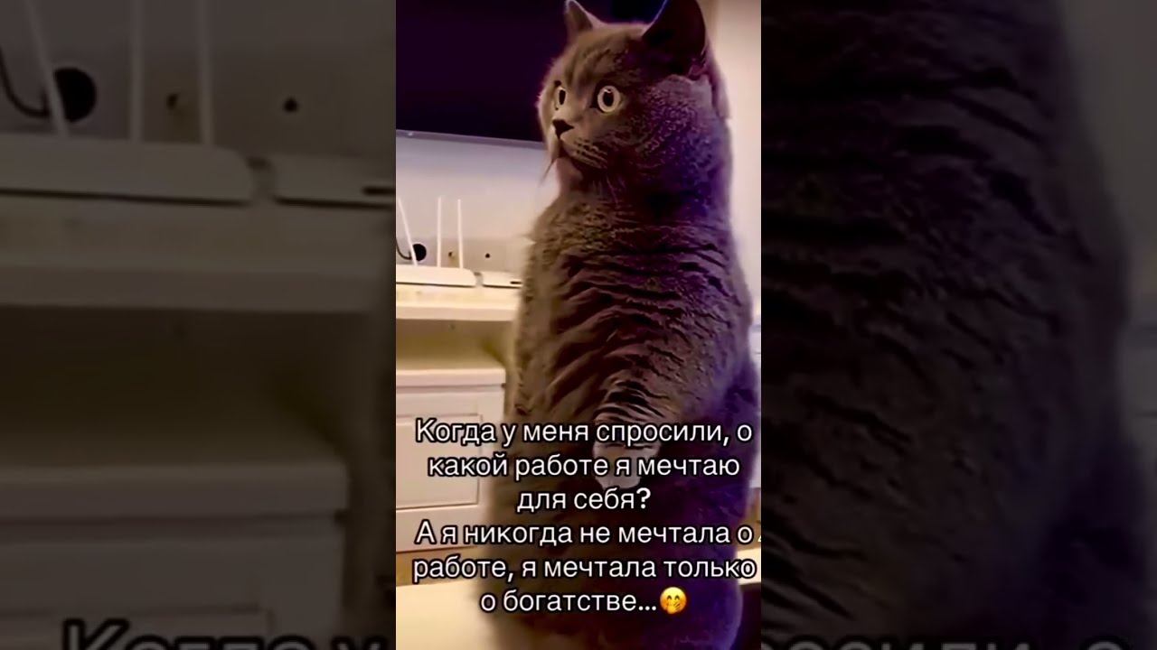 #юмор #шуточное #прикол #смешновидео