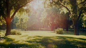 Изнанка мира