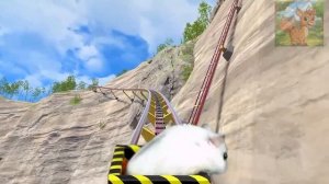 У маленького хомячка новая кухня! Он свободно бродит по кухне!