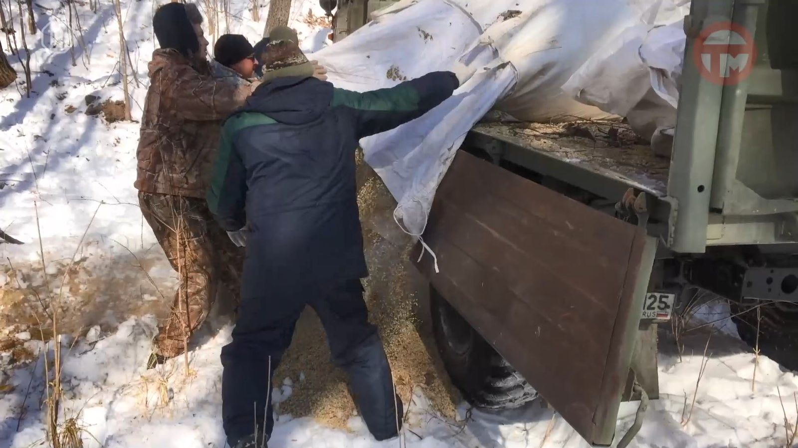 🦌 Подкормку диких животных и птиц проводят охотники Уссурийска смотреть онлайн