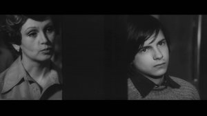 Семейные обстоятельства (1977)
