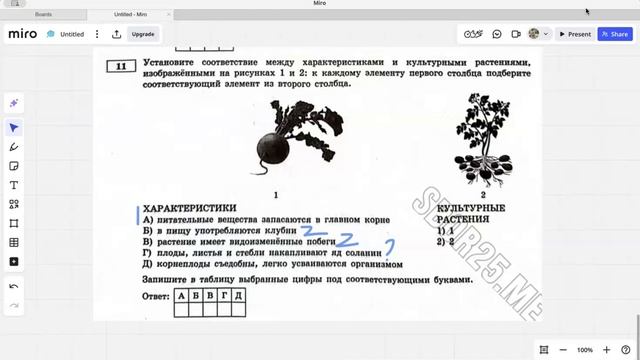 11 задание ОГЭ по биологии смотреть онлайн