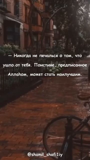 Не печалься по ушедшему. Шейх Шамиль аш-Шафи'ий. смотреть онлайн