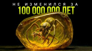 Это Существо Зaстряло в Янтаре на 100 Миллионов Лет
