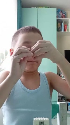 Лего серии мацнкрафт